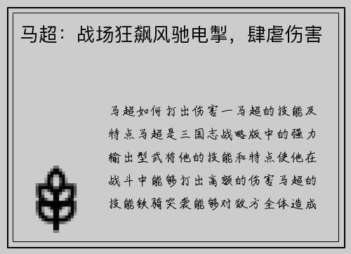 马超：战场狂飙风驰电掣，肆虐伤害